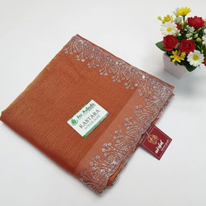 Planetary Burnt Orange Shimmer Saree with Silver Detail