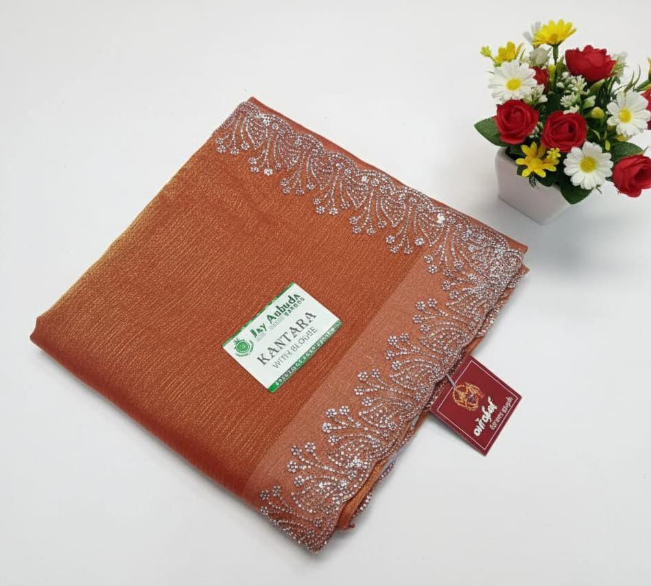 Planetary Burnt Orange Shimmer Saree with Silver Detail